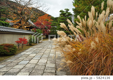 京都 天龍寺の秋 京都 天龍寺の秋 5824136