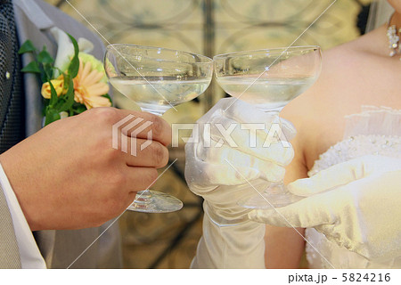 乾杯 乾杯 5824216