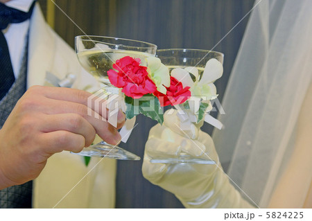 乾杯 乾杯 5824225