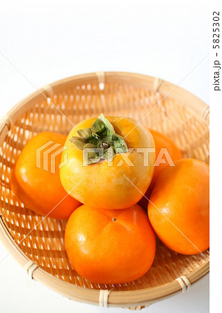 種なし柿 5825302