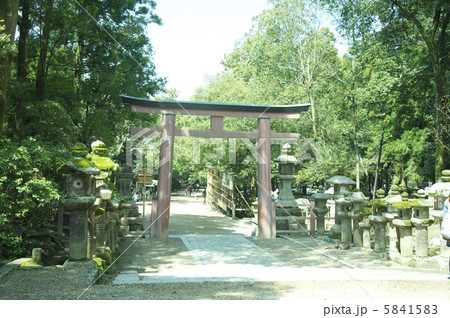 小さな鳥居と石塔（春日大社／奈良県奈良市春日野町） 5841583