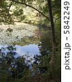 神戸森林植物園 5842249