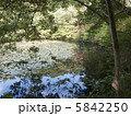 神戸森林植物園 5842250