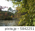 神戸森林植物園 5842251