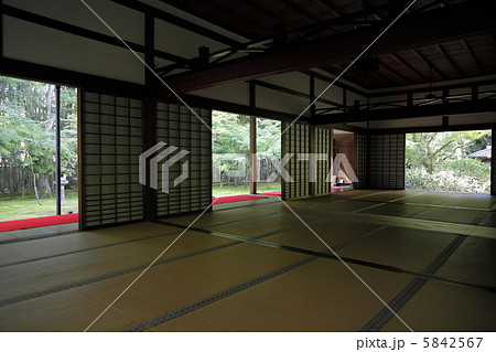 高桐院 高桐院 5842567