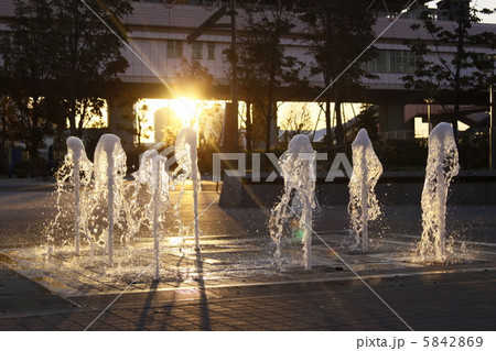 夕日に照らされて 5842869