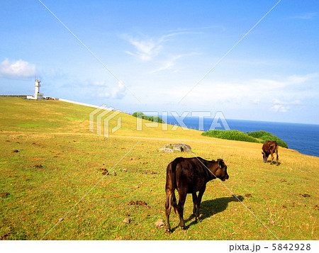 与那国島の東崎 与那国島の東崎 5842928