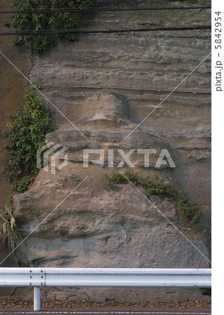 鼻欠地蔵 5842954