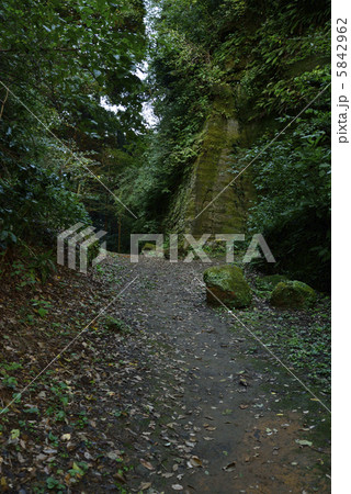 朝夷奈切通の大切通 朝夷奈切通の大切通 5842962