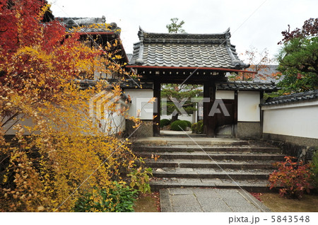 京都　三秀院の秋 5843548