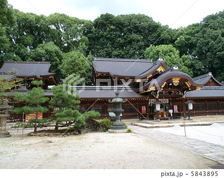 京都・今宮神社 5843895