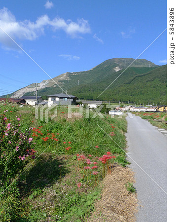 南から見た秋の伊吹山 5843896