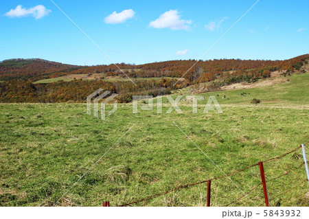 秋の早坂高原 5843932