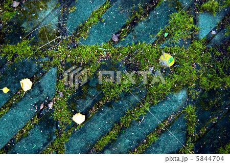 Moss and stone Moss and stone 5844704