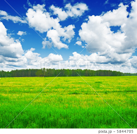 summer landscape summer landscape 5844705