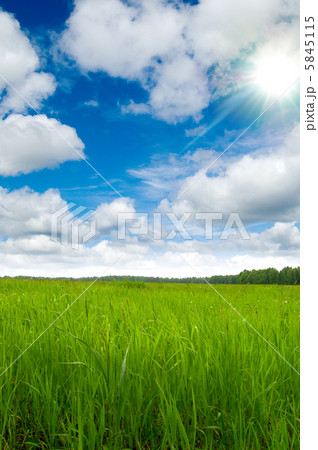 meadow meadow 5845115