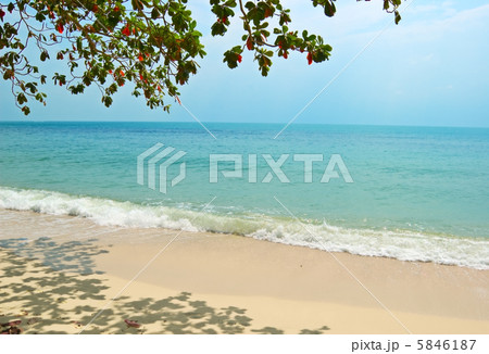 tropical beach 5846187