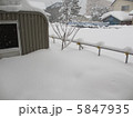 雪 5847935