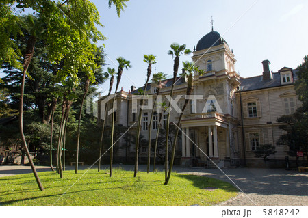 旧岩崎邸庭園 旧岩崎邸庭園 5848242