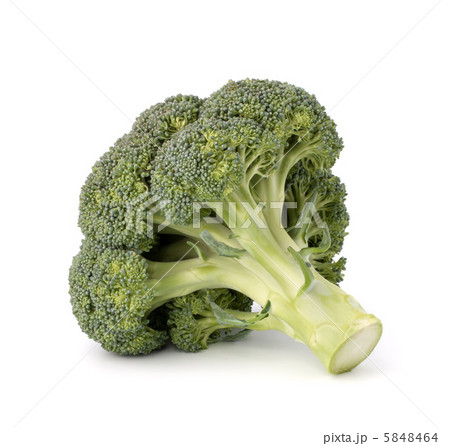 Broccoli vegetable Broccoli vegetable 5848464