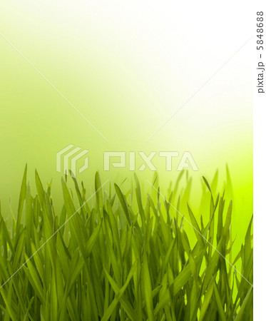 Beautiful nature background Beautiful nature background 5848688