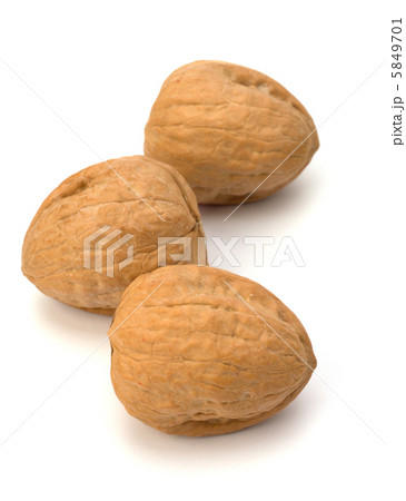 Circassian walnut isolated on the white background 5849701
