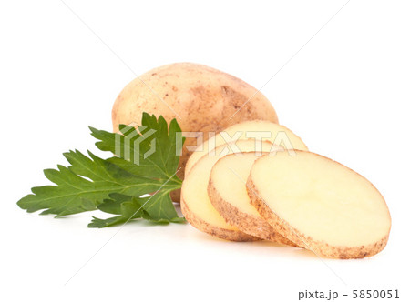 potato tubers and parsley leaves 5850051