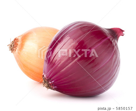 Red and gold onion bulbs 5850157