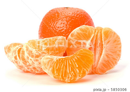 mandarin  isolated on white background 5850306