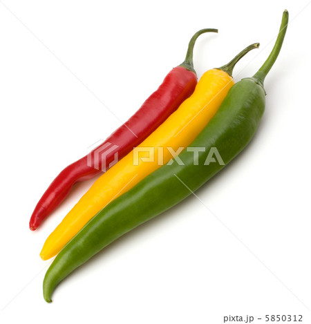 Chili pepper isolated on white background 5850312