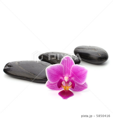 Zen pebbles path. Spa and healthcare concept. 5850416