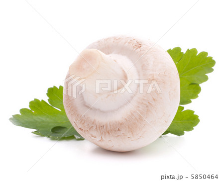 Champignon mushroom and parsley leaves 5850464