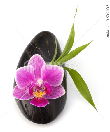 Spa and healthcare concept. Orchid and stones. Spa and healthcare concept. Orchid and stones. 5850652