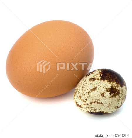 quail and hen's eggs 5850899