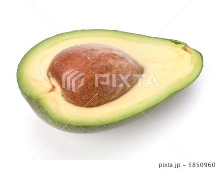 avocado isolated on white background avocado isolated on white background 5850960