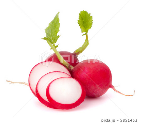 Small garden radish 5851453