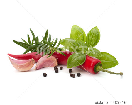Chili pepper and flavoring herbs 5852569