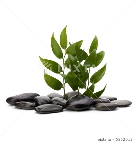 Tranquil scene Tranquil scene 5852615