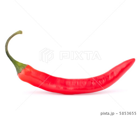 Hot red chili or chilli  pepper 5853655
