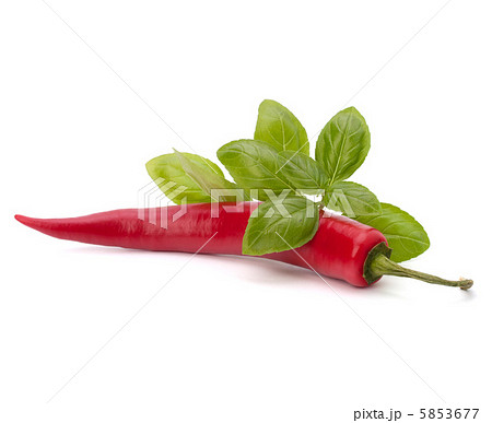 Chili pepper and flavoring herbs 5853677