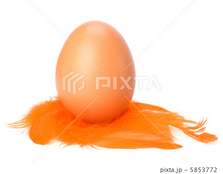 Egg and feather isolated on white background. Easter decor. 5853772
