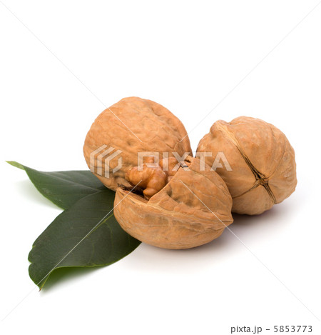 walnut 5853773