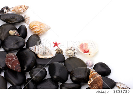 Beach elements background 5853789