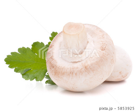 Champignon mushroom and parsley leaves 5853925