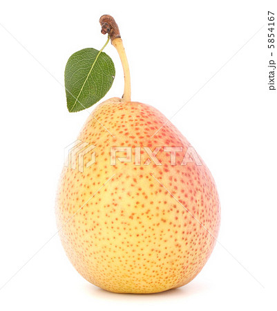 Ripe pear fruit Ripe pear fruit 5854167