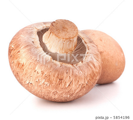 Brown champignon mushroom Brown champignon mushroom 5854196
