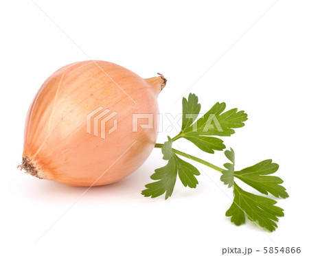 Onion 5854866
