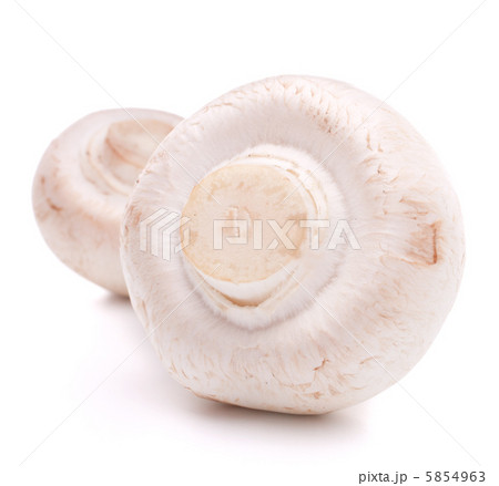Champignon mushroom 5854963