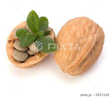 herbal pills 5855109