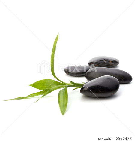 Zen pebbles path. Spa and healthcare concept. Zen pebbles path. Spa and healthcare concept. 5855477